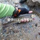 ゴギ