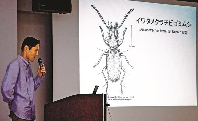 大根島の固有種「イワタメクラチビゴミムシ」を紹介する小松貴さん＝松江市八束町波入、八束公民館