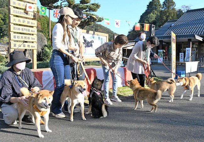 愛犬アピールコンテストに出場し、柴犬の祖・石号の誕生日を祝う参加者たち＝益田市美都町宇津川