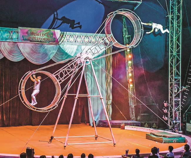 松江公演で再開した「デスホイール」で演技するパフォーマーが＝松江市学園南１丁目、旧島根県立プール跡地広場特設大テント