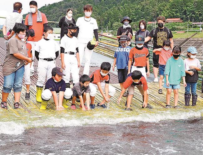 簗に打ち上げられたアユを捕まえる子どもたち＝島根県美郷町都賀西、江の川