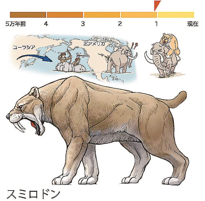 戦え絶滅動物PART3 宮川アジュ モア スミロドン サーベルタイガー