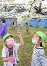  授粉棒で花に花粉を付ける園児＝島根県出雲市