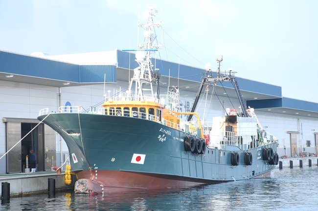 防波堤にぶつかった第二十八浜吉丸＝２０日午前７時４０分、浜田市原井町の浜田漁港４号岸壁