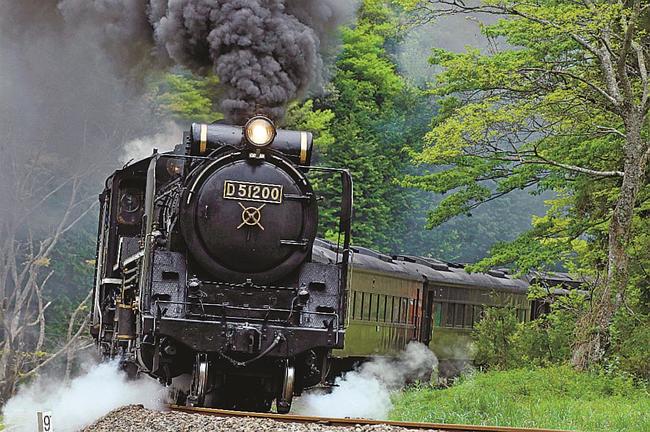 新緑のJR山口線を走るD51形蒸気機関車=島根県津和野町名賀