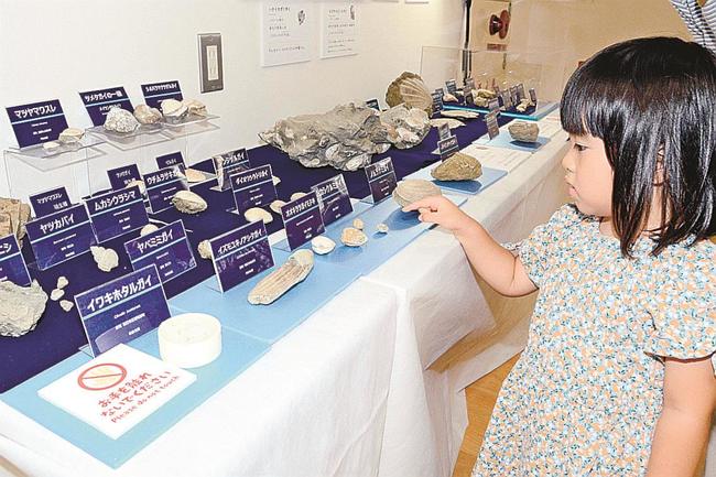 貝の化石に見入る来場者＝雲南市大東町大東、大東図書館