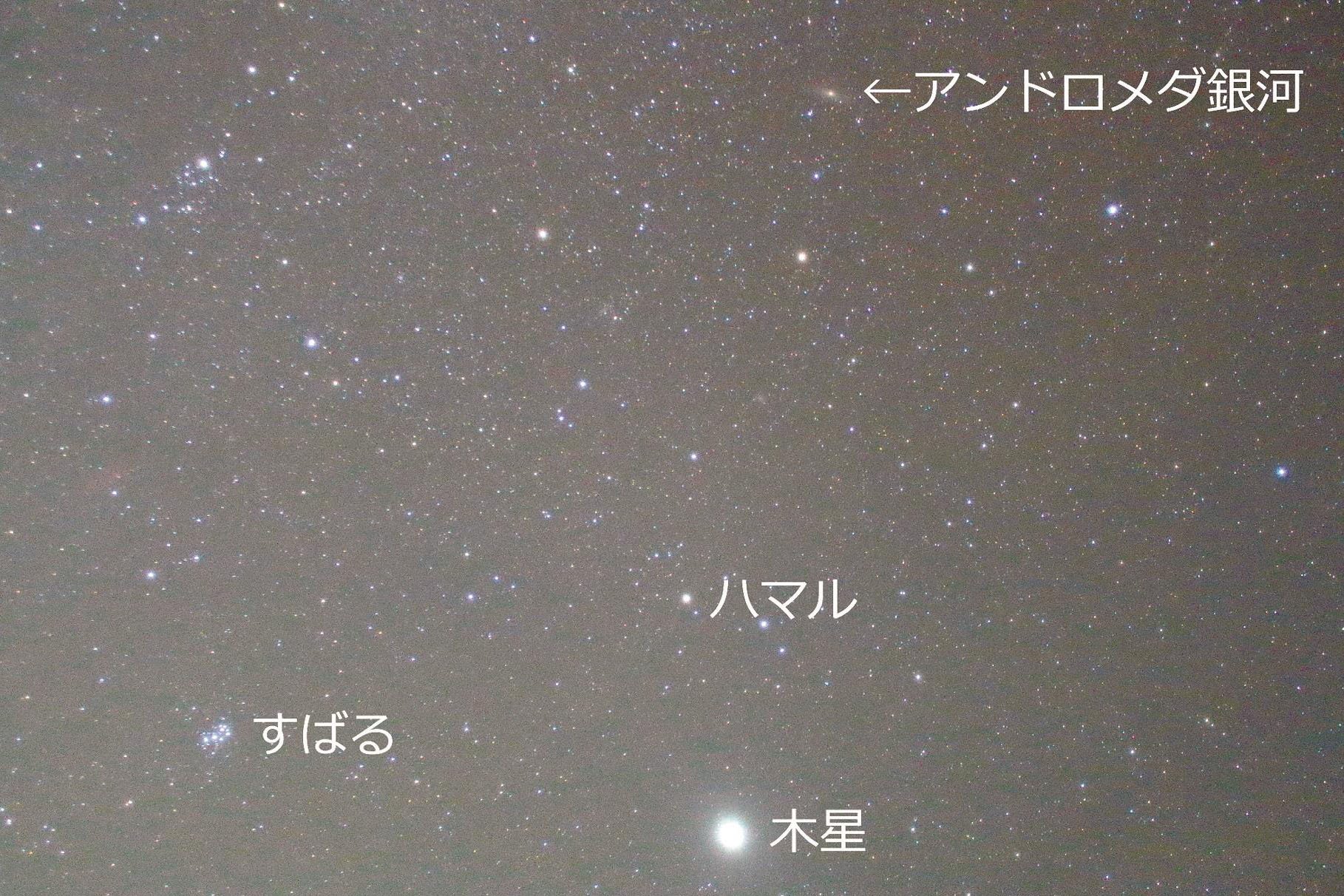 夜空さま 確認用 夜空さま 確認用 こー様オーダー確認用 yuchan様オーダー確認用 ZX