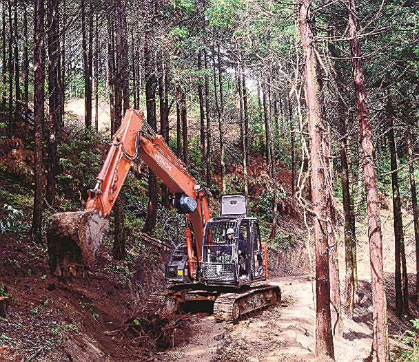 路網を整備する大田市森林組合の職員＝大田市三瓶町