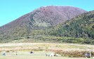 紅葉が見ごろを迎えた男三瓶山（中央）と子三瓶山（手前右）。西の原では大勢の家族連れが訪れている＝大田市三瓶町