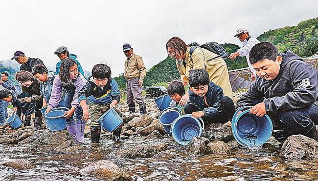 稚アユを江の川に放流する参加者＝島根県美郷町都賀西
