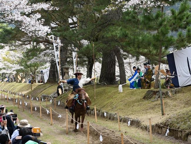 満開の桜が咲く馬場で行われた流鏑馬神事。馬上から弓を放ち、命中させる射手＝７日、島根県津和野町鷲原の鷲原八幡宮