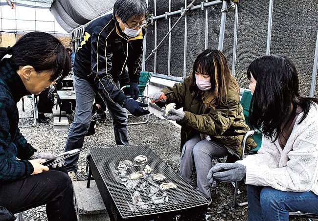 公園関係者（左から２人目）に教わりながら、カキの殻を外す来場客＝雲南市三刀屋町坂本、明石緑が丘公園