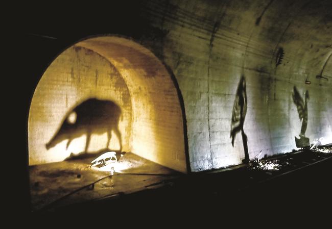 江の川鉄道が過去に一部のトンネル内で展示した影絵＝島根県邑南町内