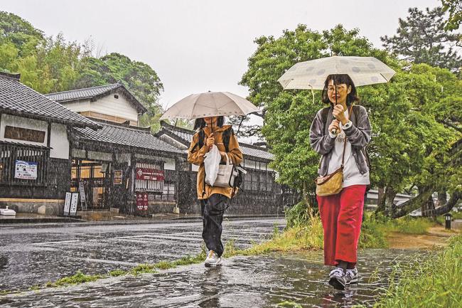 雨が降る中、塩見縄手を歩く観光客＝29日午後０時42分、松江市北堀町