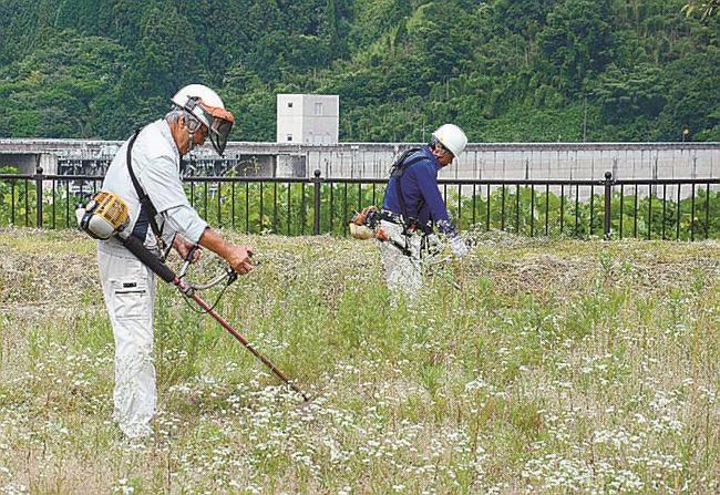 ボート競技施設周辺の草を刈る参加者＝雲南市木次町北原