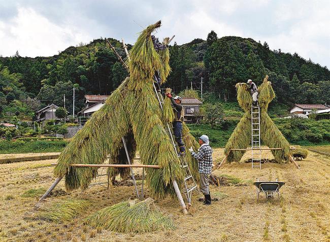 稲の束を丸太にかけてヨズクハデを作る参加者＝益田市本俣賀町