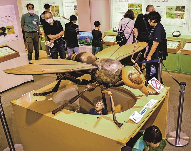 オオスズメバチの２０倍模型を観察する子どもたち＝大田市三瓶町、島根県立三瓶自然館サヒメル