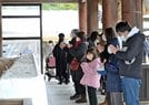 拝殿前で無病息災を祈る参拝客＝出雲市大社町杵築東、出雲大社