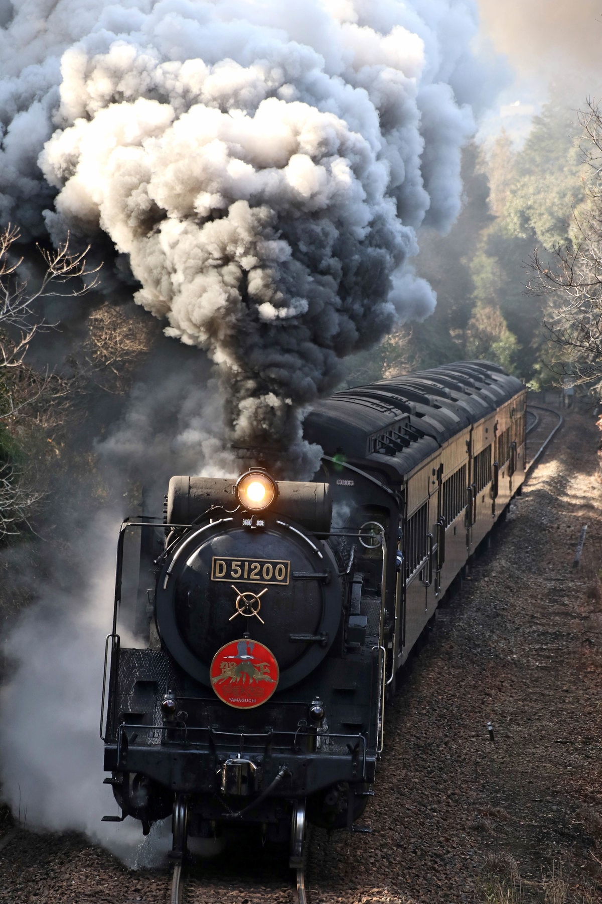 SLは永遠だ 蒸気機関車 写真集 Amazon.co.jp: ［写真集］SLの瞬間（とき）――蒸気機関車が生きていた