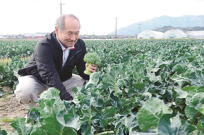 栄養豊富なブロッコリーの消費拡大を願う山根康生部会長＝出雲市平田町
