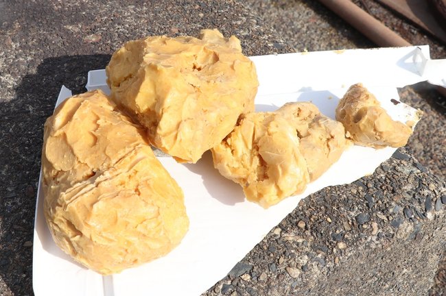 漂着した固形物