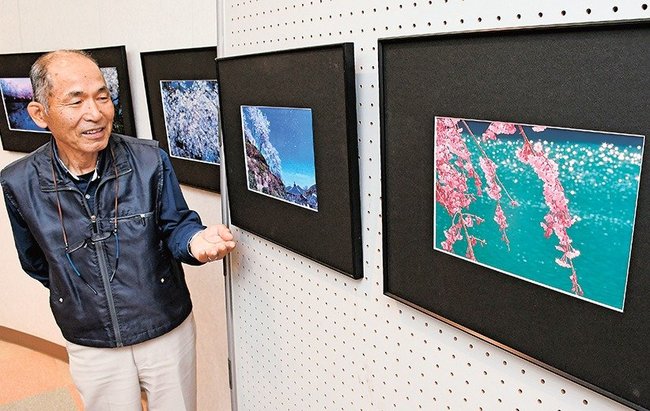 各地で撮った桜の写真を紹介する橘重孝さん＝大田市大田町、島根県立男女共同参画センターあすてらす