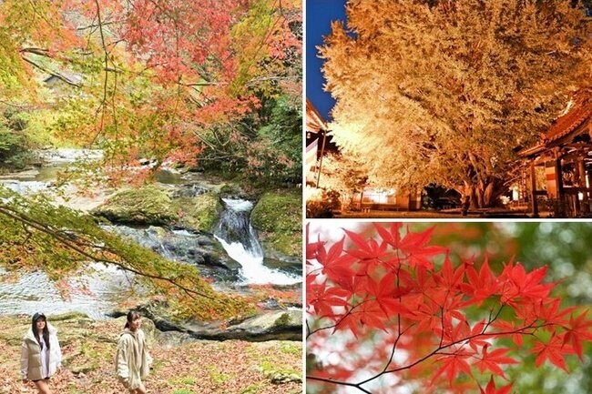 鮮やかに色づいた山陰各地の紅葉