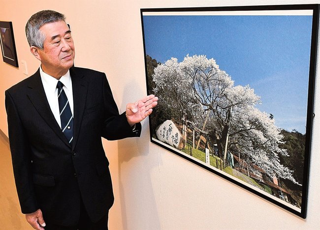 三隅大平桜の写真を石州和紙にプリントした作品を紹介する藤田好太郎さん＝浜田市三隅町古市場、石正美術館