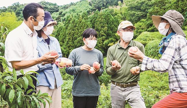 収穫したモモについて話し合うグローカル浜田のメンバー＝浜田市高佐町