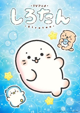 テレビアニメ『しろたん』ティザービジュアル(C)CREATIVE YOKO/TVアニメ『しろたん』製作委員会