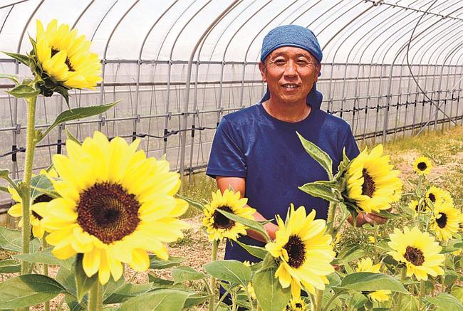 ヒマワリに囲まれて笑顔を見せる田口裕一郎さん＝出雲市斐川町出西