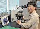 顕微鏡で体長約１ミリの虫を調べる坂本嗣樹さん。日本にいない病害虫の国内侵入を防ぐ仕事に使命感を抱く＝境港市昭和町