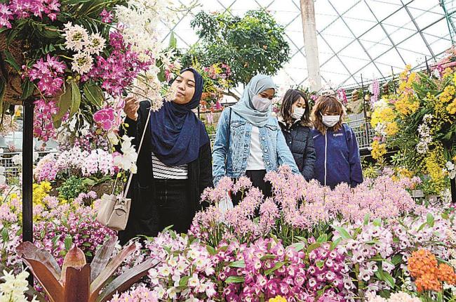 ランの香りを楽しみ、華やかさに見入る来園者＝鳥取県南部町鶴田、とっとり花回廊