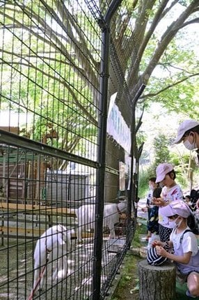 新緑とともに動物への餌やりも楽しめる愛宕山公園＝出雲市平田町