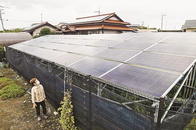 太陽光パネルを屋根にした渡部さん所有の農園。背後の住宅を含め１９０枚のパネルが広がる＝松江市八束町波入