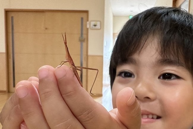 赤いバッタを観察する西村凪ちゃん＝松江市大庭町、しらゆり保育園