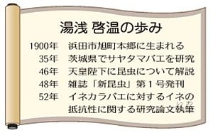 湯浅　啓温の歩み