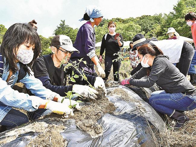 夏野菜の苗植えを行う来場者=江津市後地町、naofarm