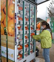 朝刊先読み！】みかんの自動販売機が登場 安来 | 山陰中央新報デジタル