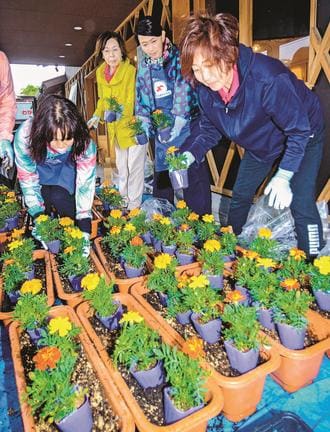 プランターの花を植え替える境港商工会議所女性会の会員ら＝境港市松ケ枝町