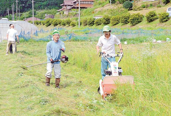 住民の依頼を受け、休耕田に茂った雑草を刈るみつばくらぶのメンバー＝浜田市弥栄町木都賀