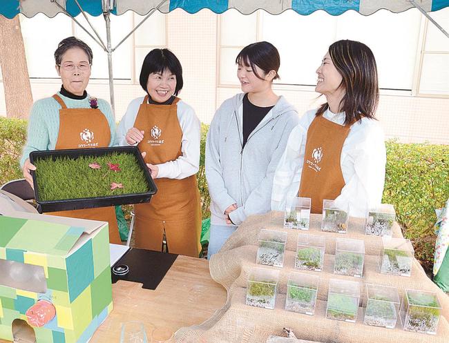 島根県立大浜田キャンパスの大学祭でコケをＰＲするメンバーたち＝浜田市野原町、同大浜田キャンパス