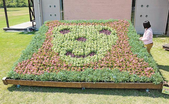 弥生時代の特徴をあしらった花絵＝鳥取県大山町妻木、県立むきばんだ史跡公園