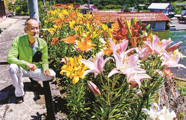 見頃を迎えた庭のユリを見る田中治夫さん＝島根県邑南町市木