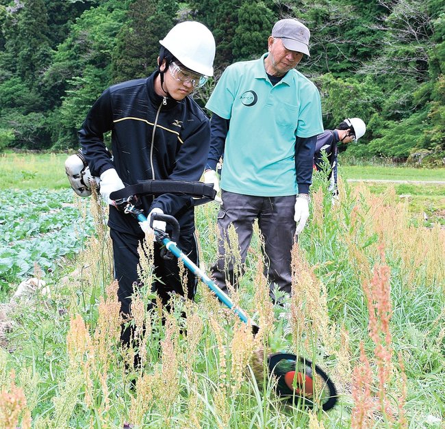 地区の農家（中央）に教わりながら草刈りを体験する参加者＝浜田市金城町小国
