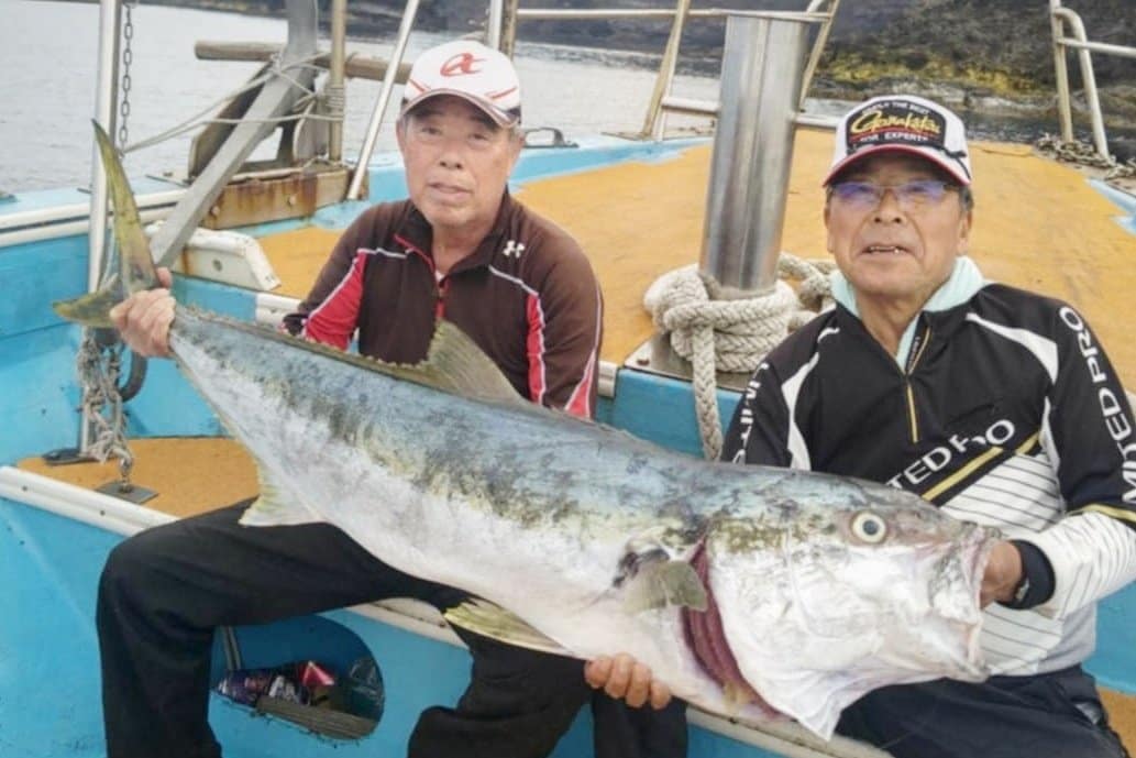 巨大ヒラマサ2人がかりでゲット 130センチ、17キロ 隠岐諸島