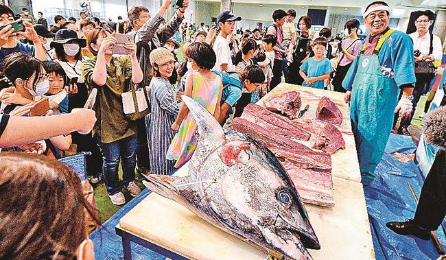 解体を終えたクロマグロを間近で撮影する親子ら＝境港市昭和町、鳥取県営境港水産物地方卸売市場２号上屋