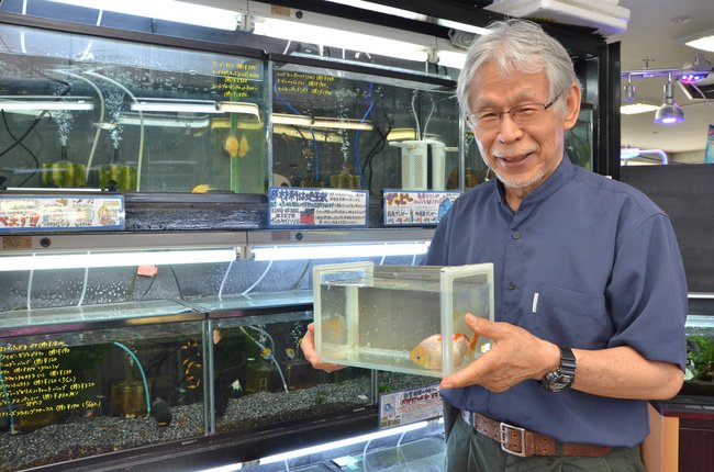 観賞魚の魅力を語る石原洋二郎社長＝松江市矢田町、アクアプラザいしはら