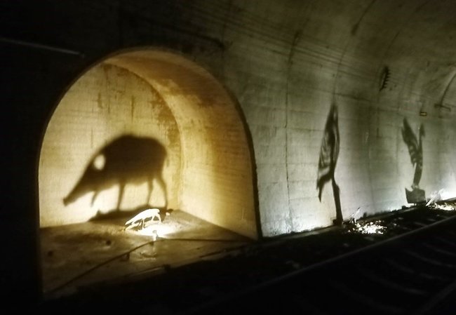江の川鉄道が過去に一部のトンネル内で展示した影絵＝島根県邑南町内
