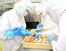 一つずつ手作業で製造されている「あんケーキサンド」＝松江市東出雲町錦浜、中浦食品
